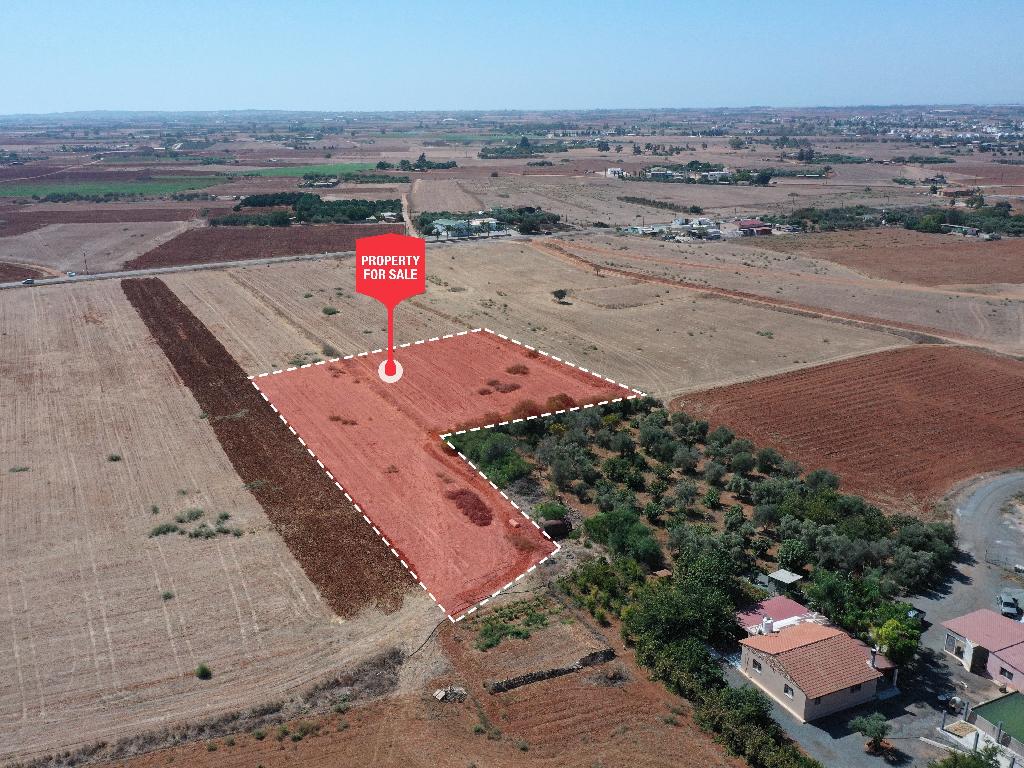 Field –Avgorou, Famagusta