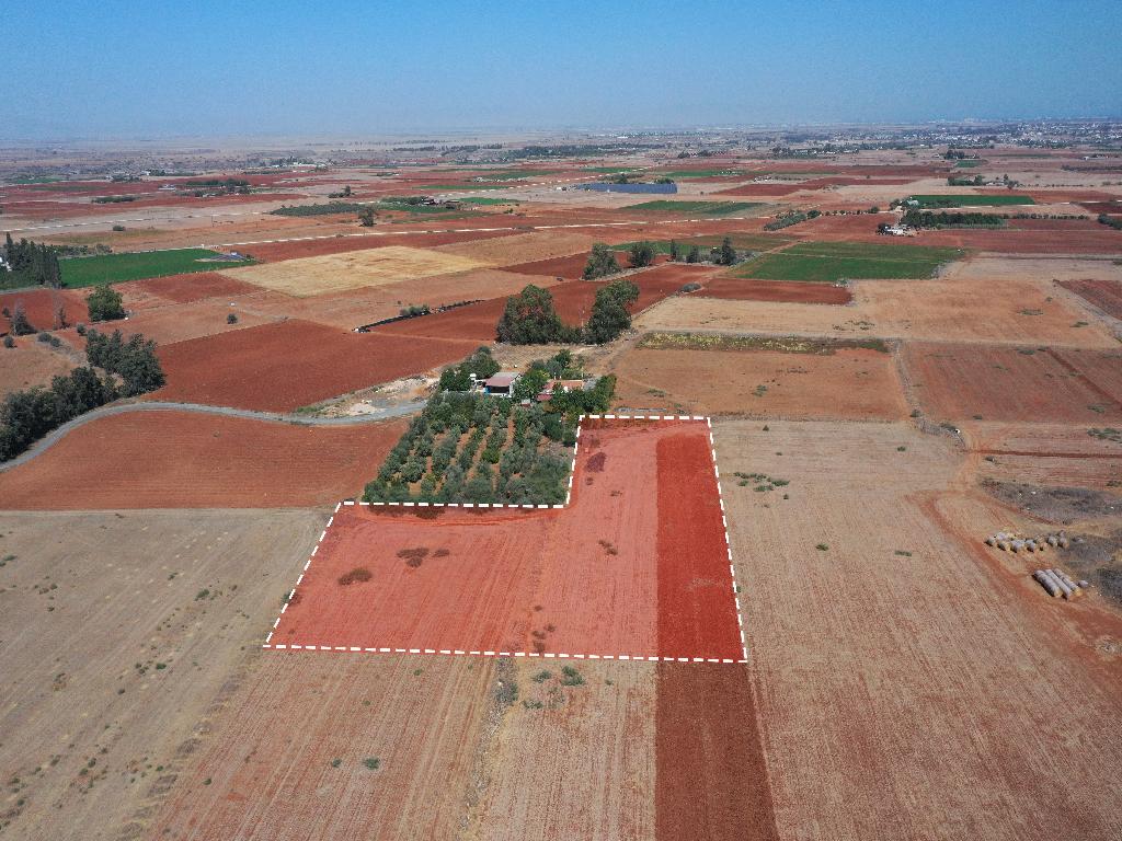 Field –Avgorou, Famagusta