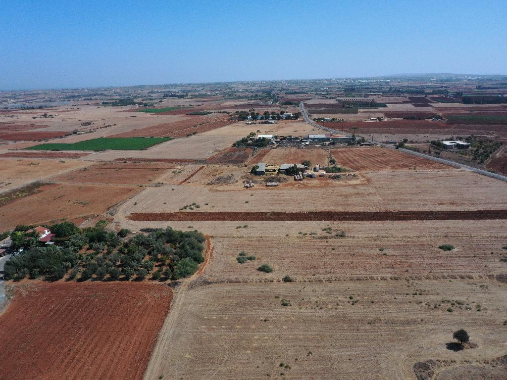 Field –Avgorou, Famagusta