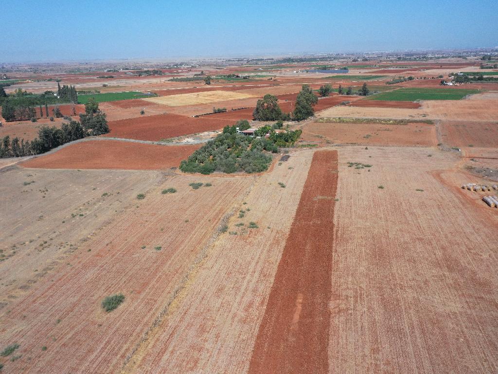 Field –Avgorou, Famagusta