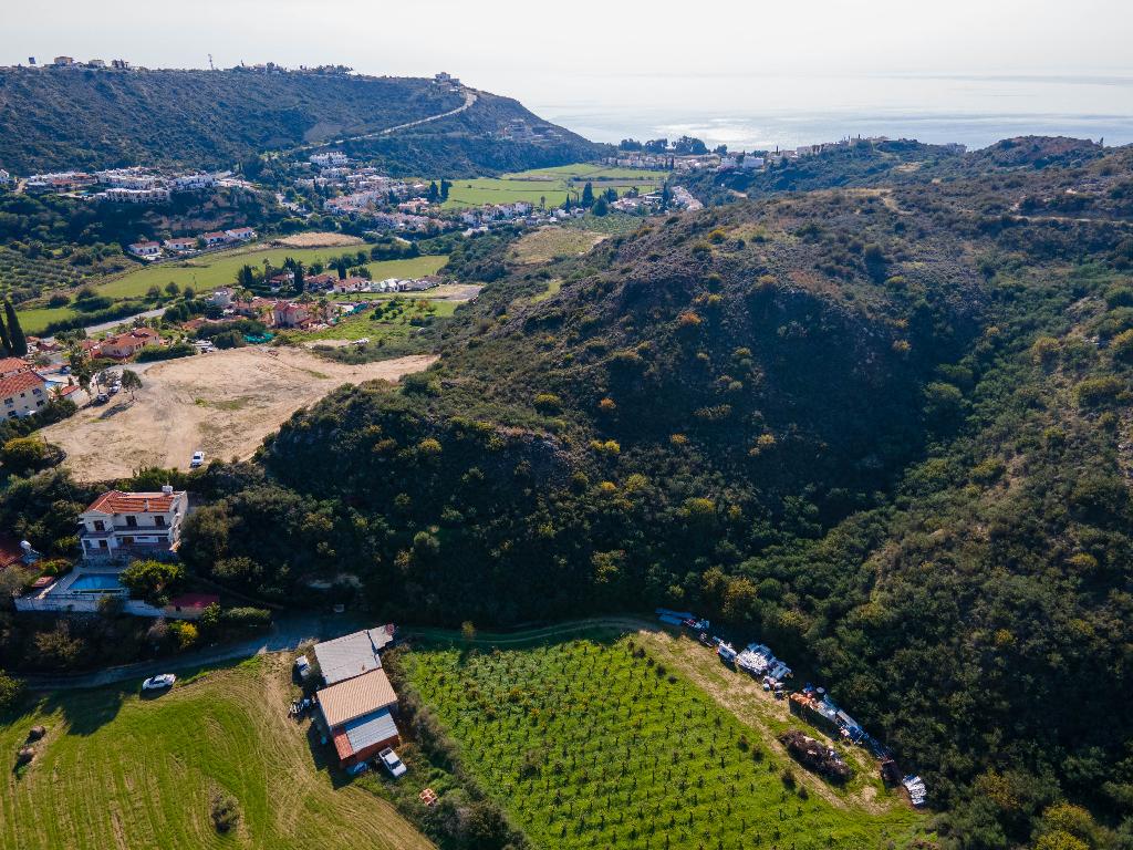 Field-Pissouri-PR37108