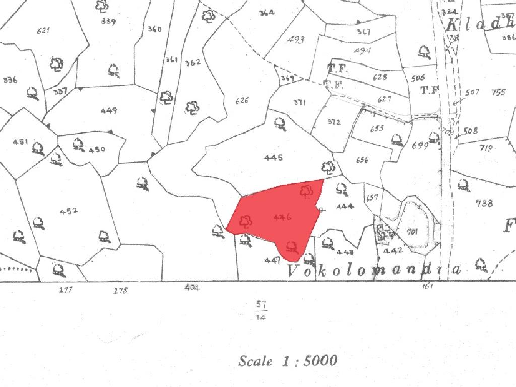 Field-Pissouri-PR37108