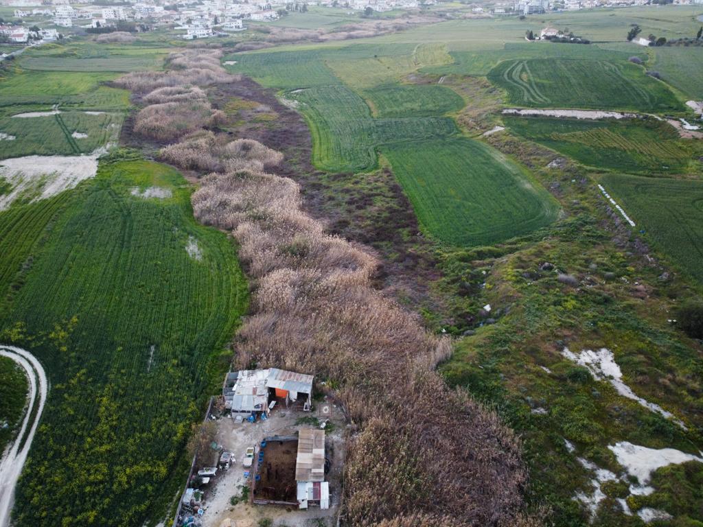 Field (Share) - Aradippou, Larnaca