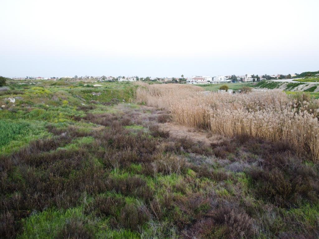 Field (Share) - Aradippou, Larnaca