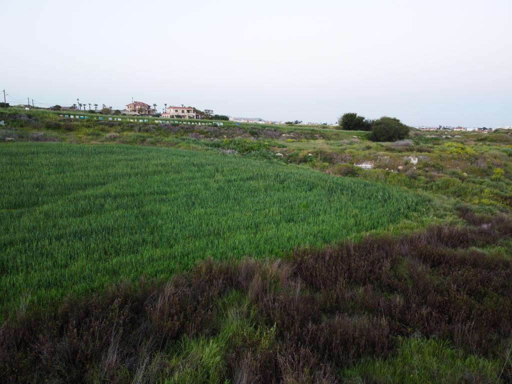 Field (Share) - Aradippou, Larnaca