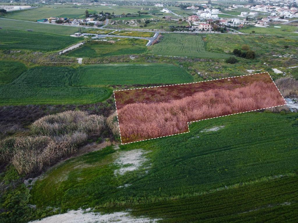 Field (Share) - Aradippou, Larnaca