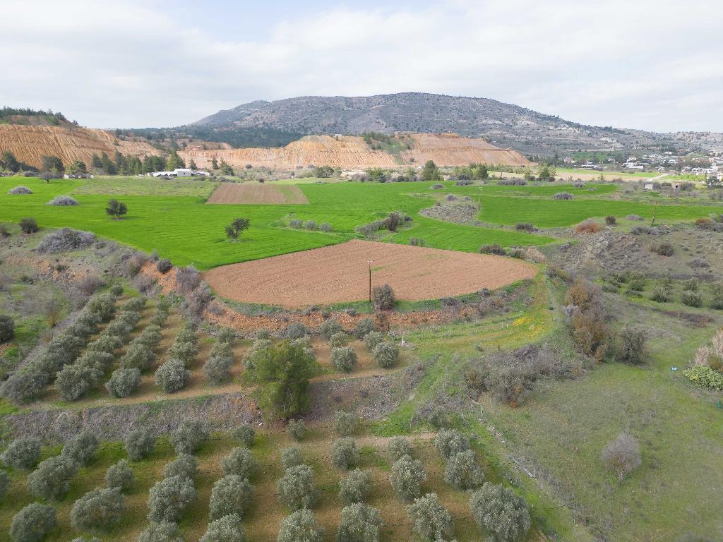 Field-Mitsero-PR37595