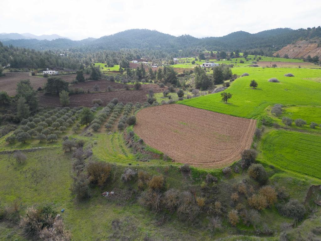 Field-Mitsero-PR37595