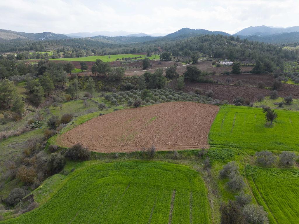 Field-Mitsero-PR37595