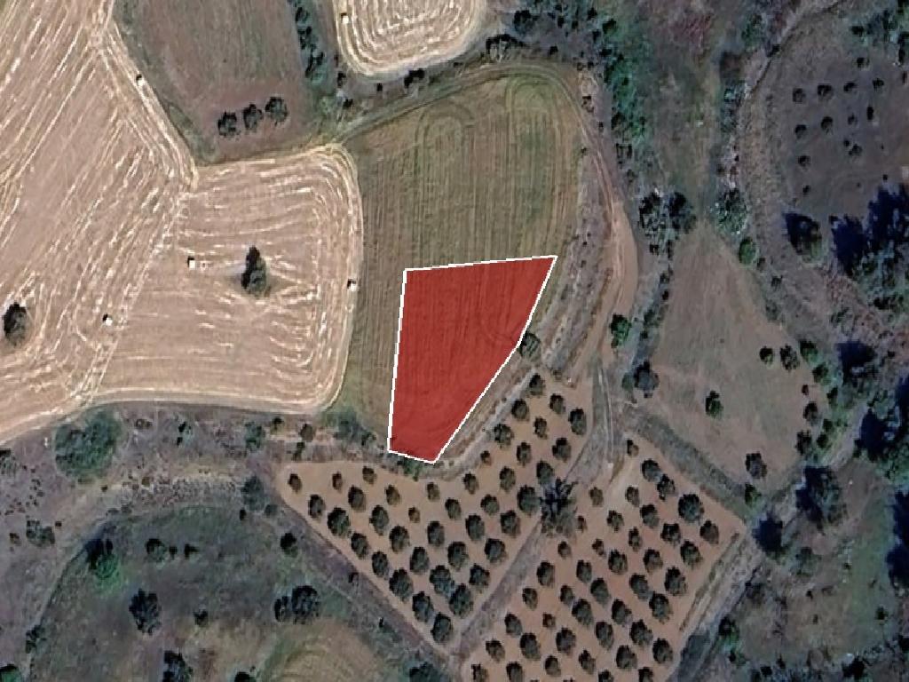 Field-Mitsero-PR37595