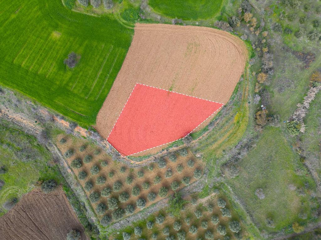 Field-Mitsero-PR37595