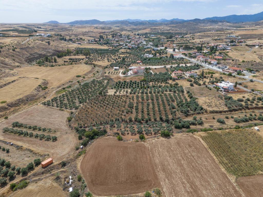 Field - Potami, Nicosia