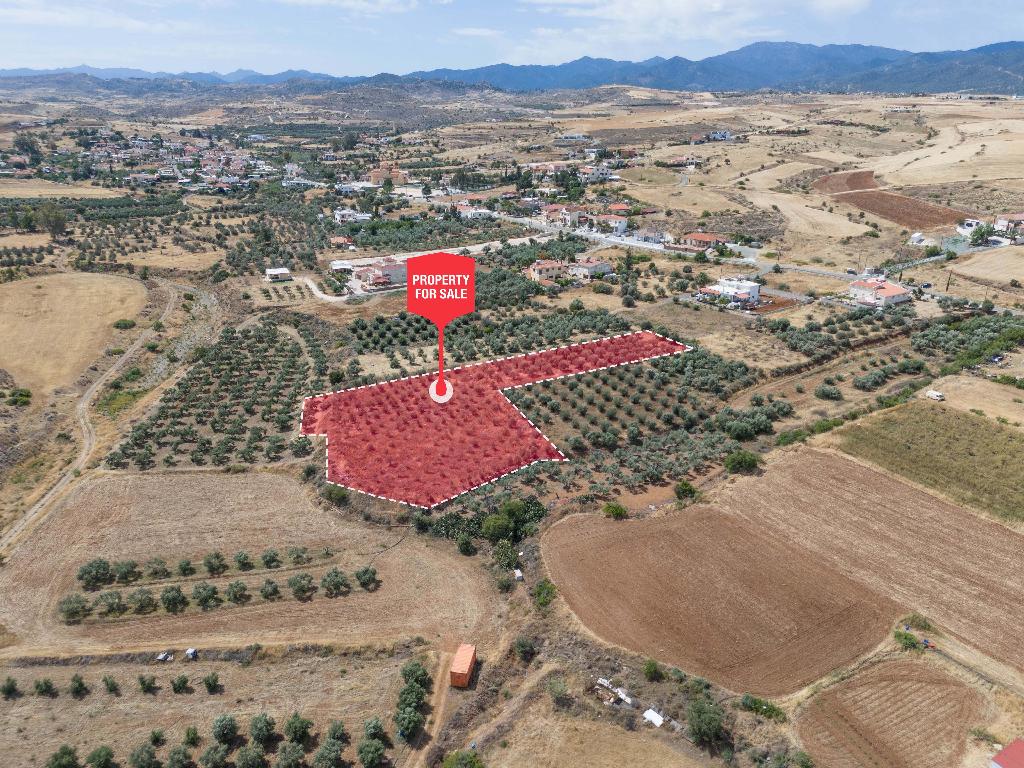 Field - Potami, Nicosia