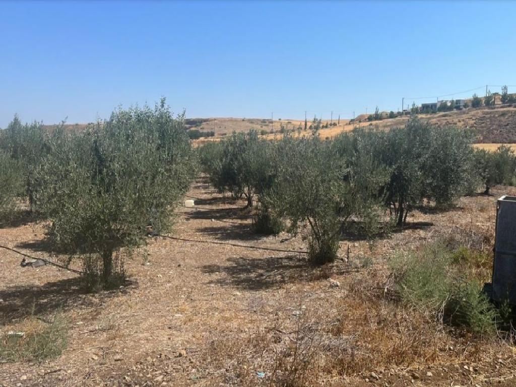 Field-Potami-PR38938