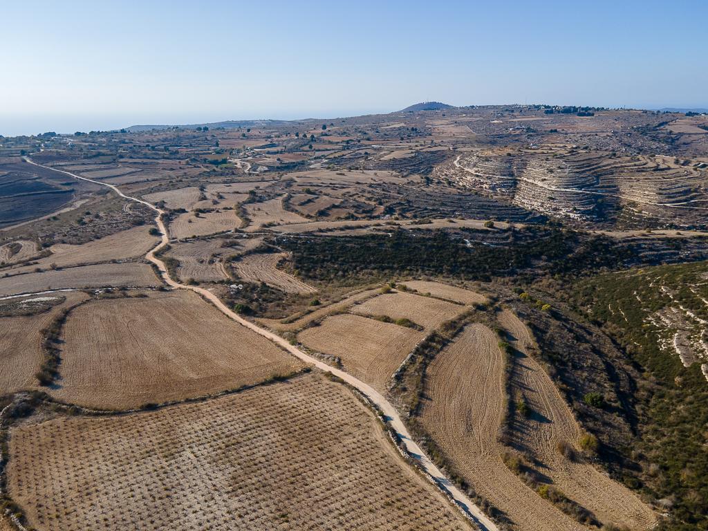 Field-Kato Arodes-PR40297