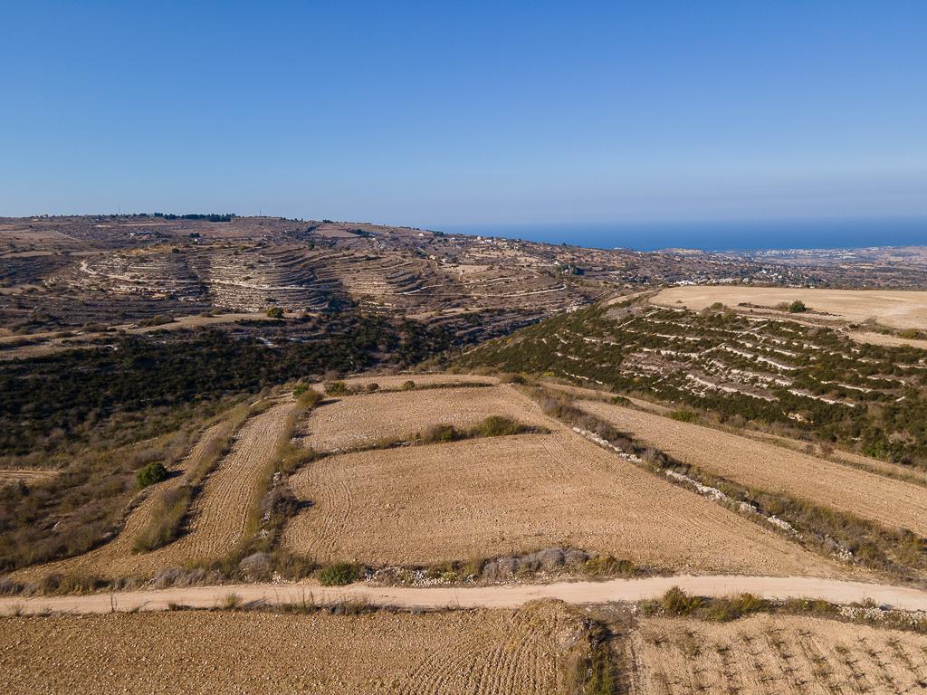 Field-Kato Arodes-PR40297
