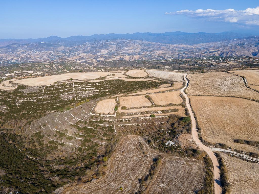 Field-Kato Arodes-PR40297