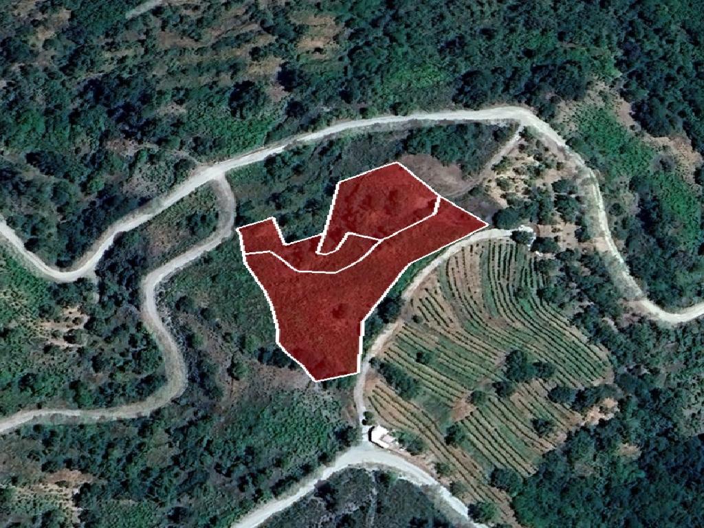 Field-Saranti-CP10006