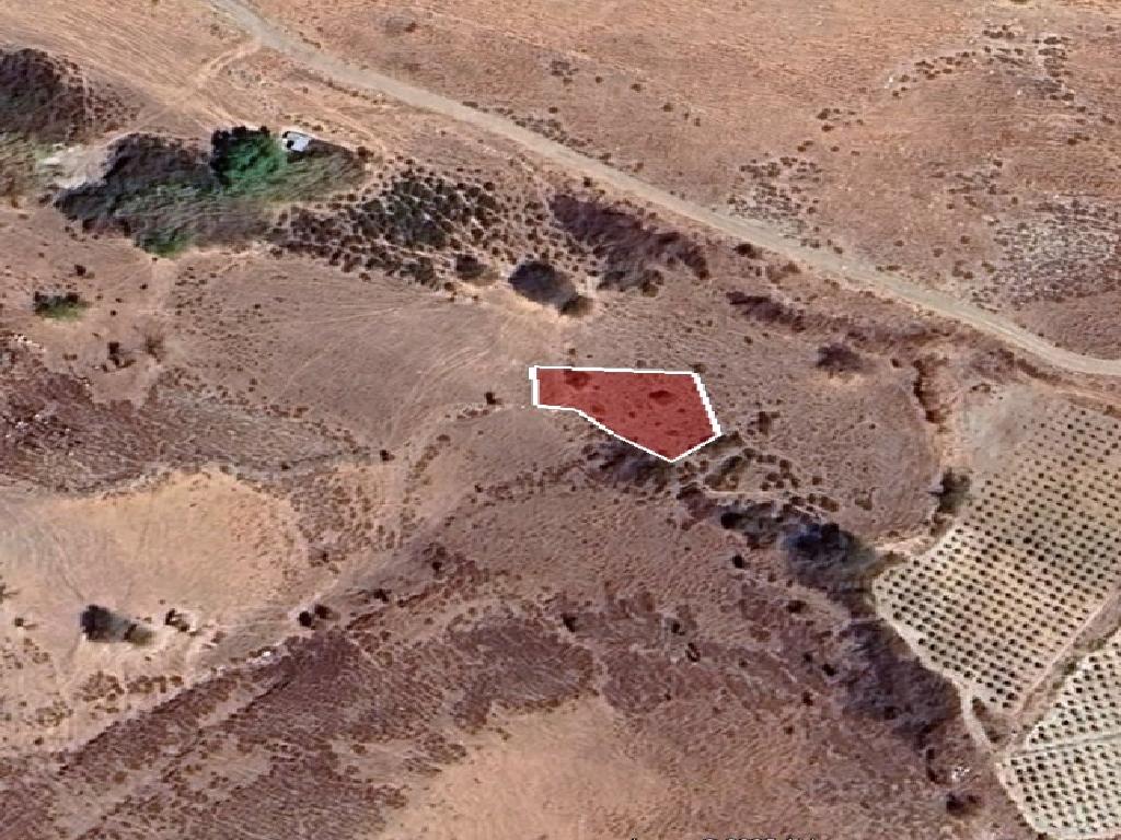 Field-Agios Dimitrianos-PR41178