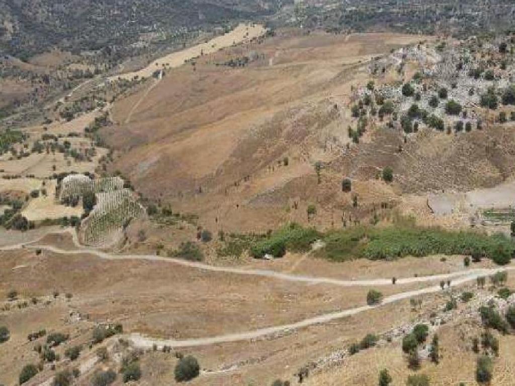 Field-Agios Dimitrianos-PR41178