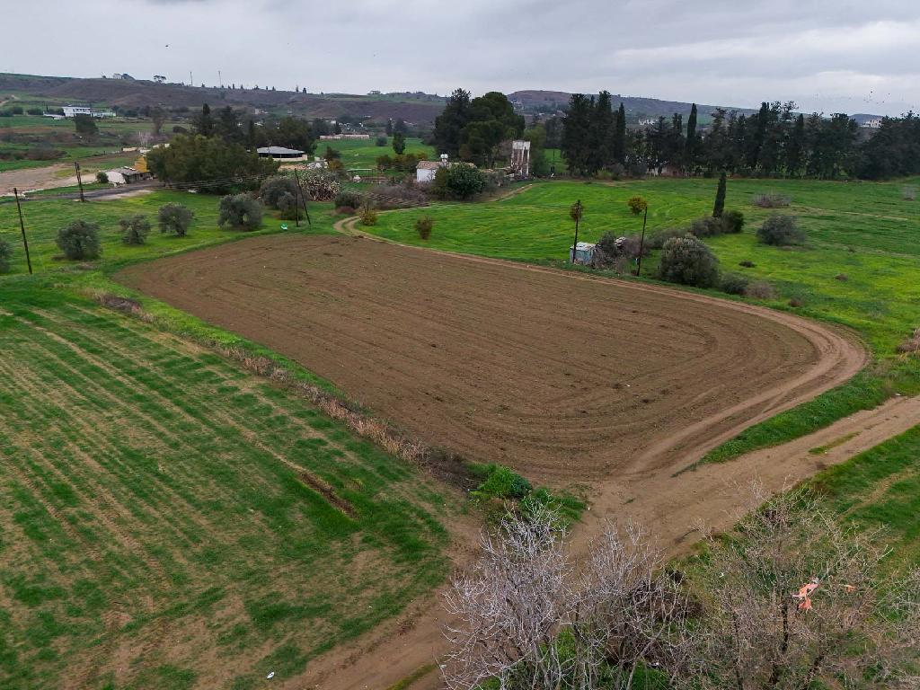 Field-Pano Deftera-PR41830