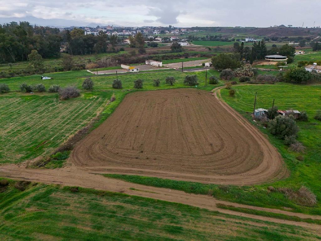 Field-Pano Deftera-PR41830
