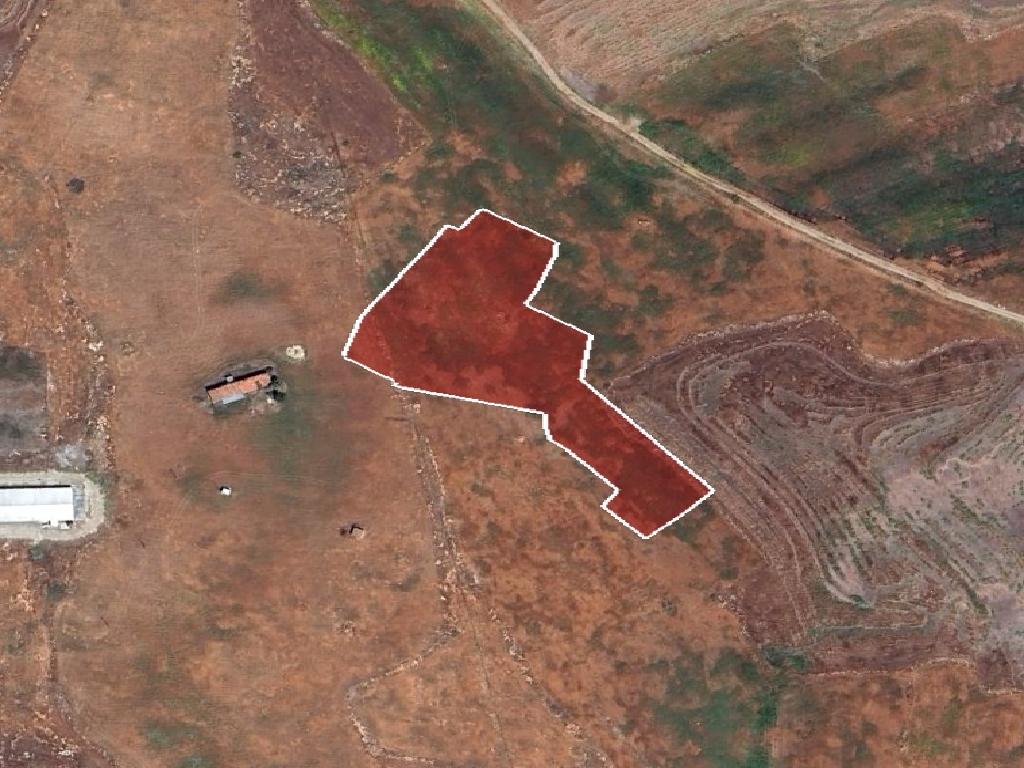 Field-Kokkinotrimithia-PR43306