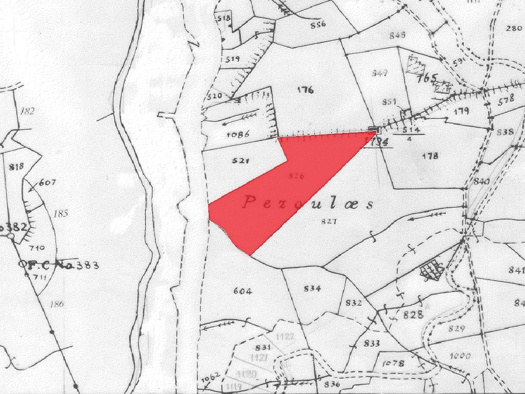 Field - Xyliatos, Nicosia