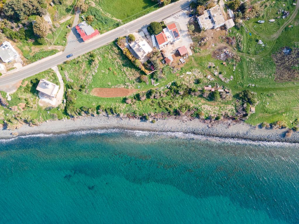 Field (Share) -  Pomos, Paphos