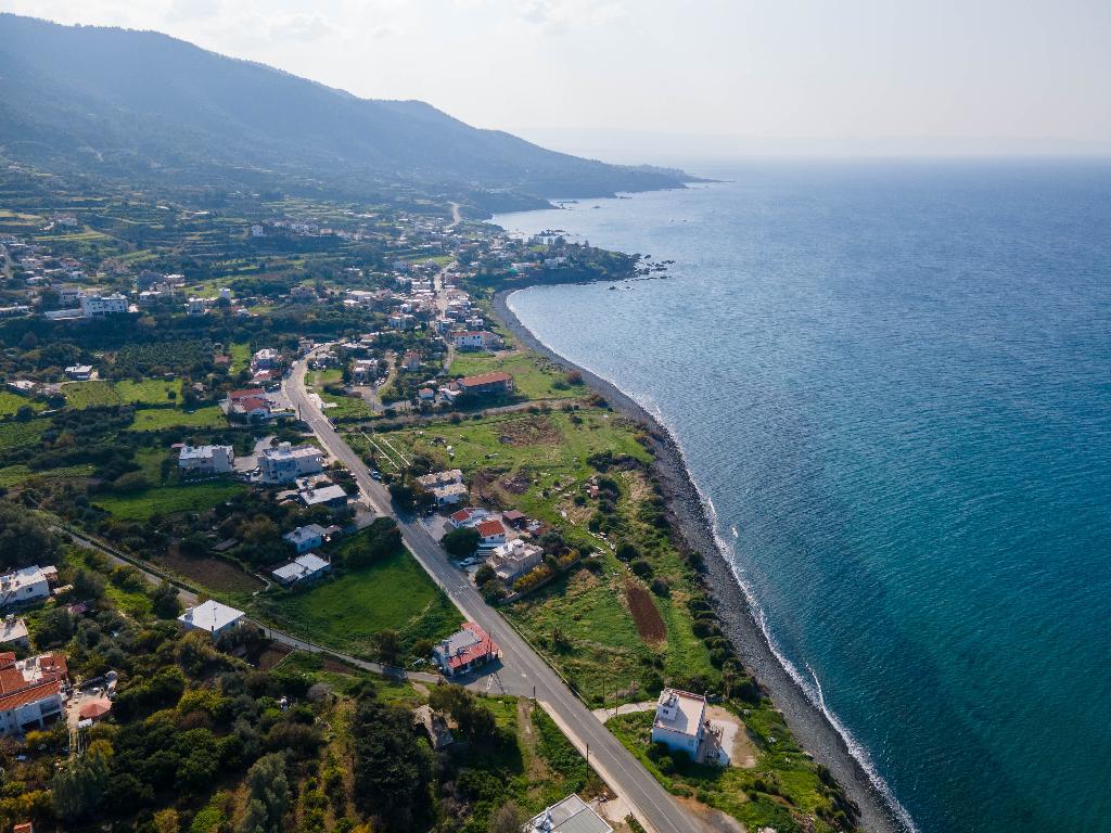 Field (Share) -  Pomos, Paphos
