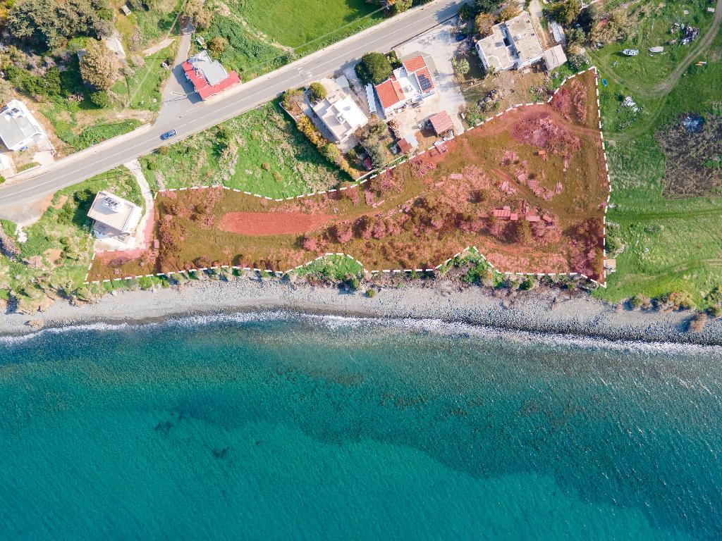 Field (Share) -  Pomos, Paphos