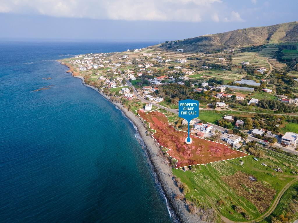 Field (Share) -  Pomos, Paphos