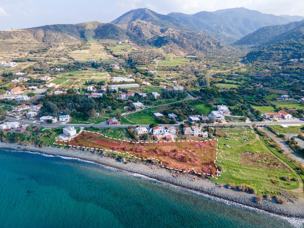 Field (Share) -  Pomos, Paphos