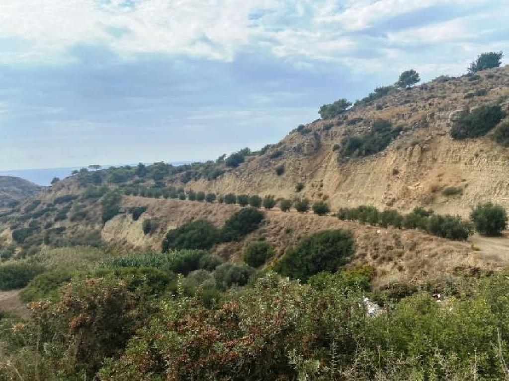 Field-Pissouri-PR15325