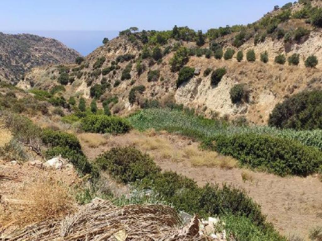 Field-Pissouri-PR15325