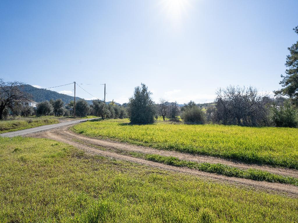 Field - Klirou, Nicosia