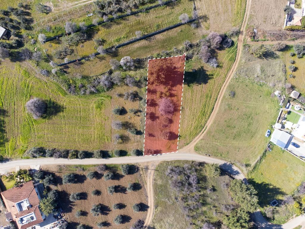 Field - Klirou, Nicosia
