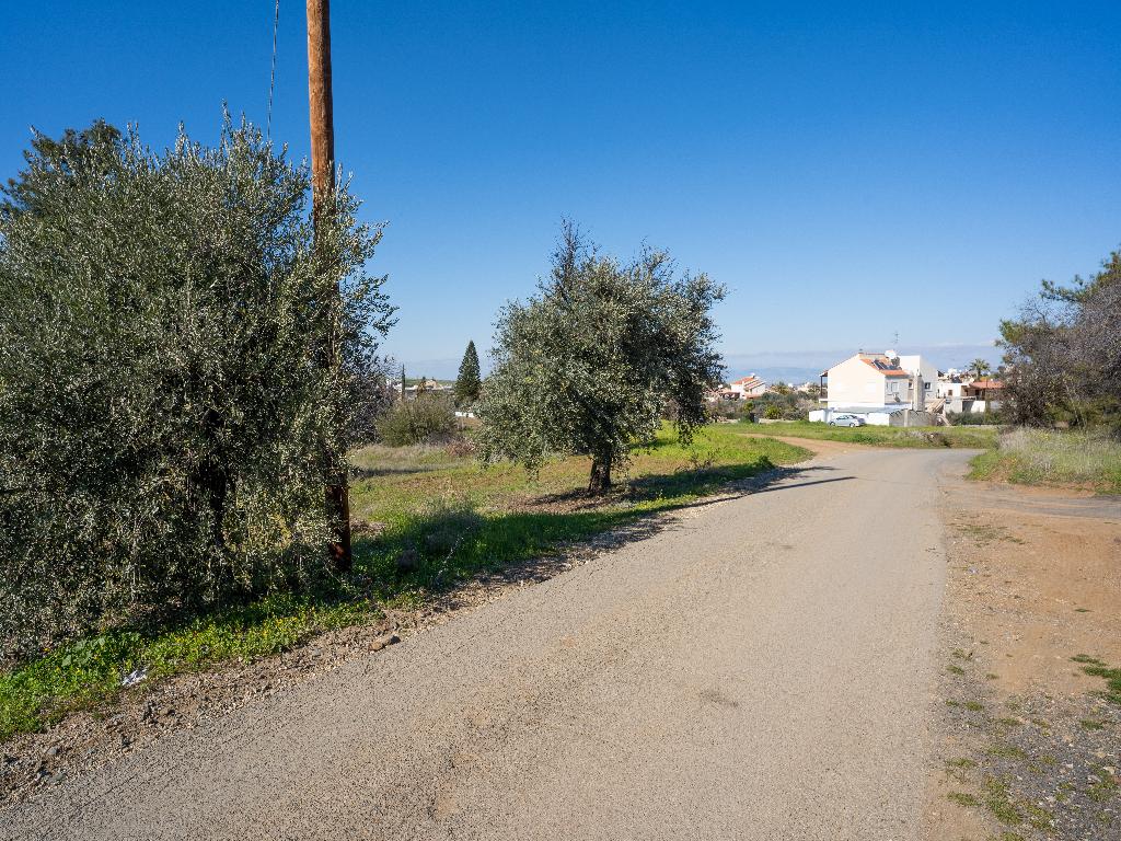 Field - Klirou, Nicosia
