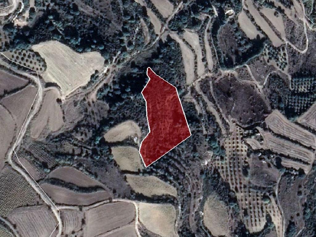Field-Stroumpi-PR32709