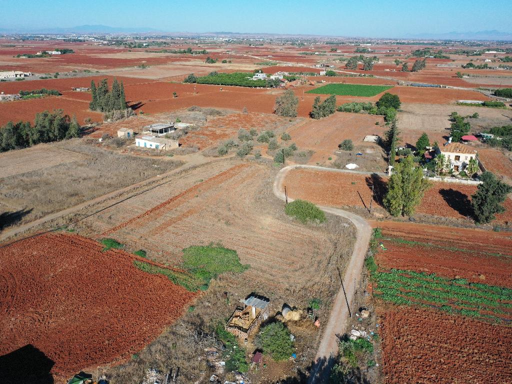 Field - Avgorou, Famagusta