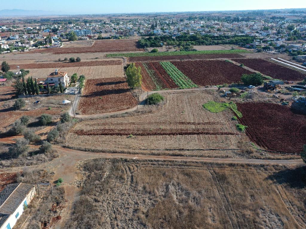 Field - Avgorou, Famagusta