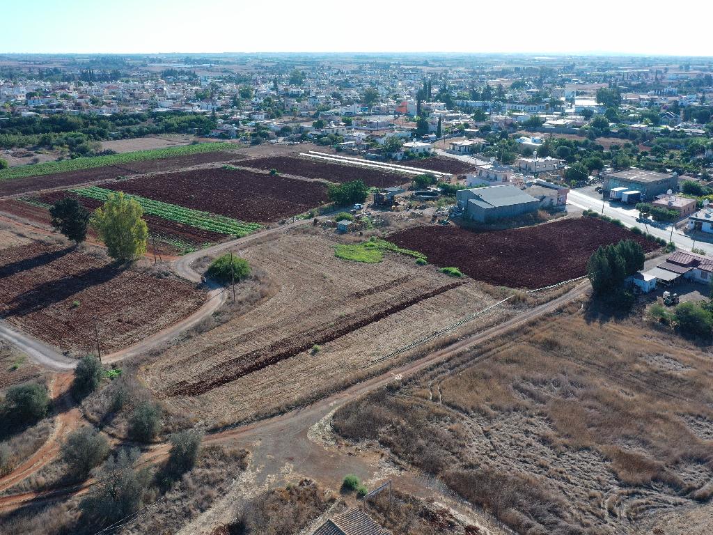 Field - Avgorou, Famagusta