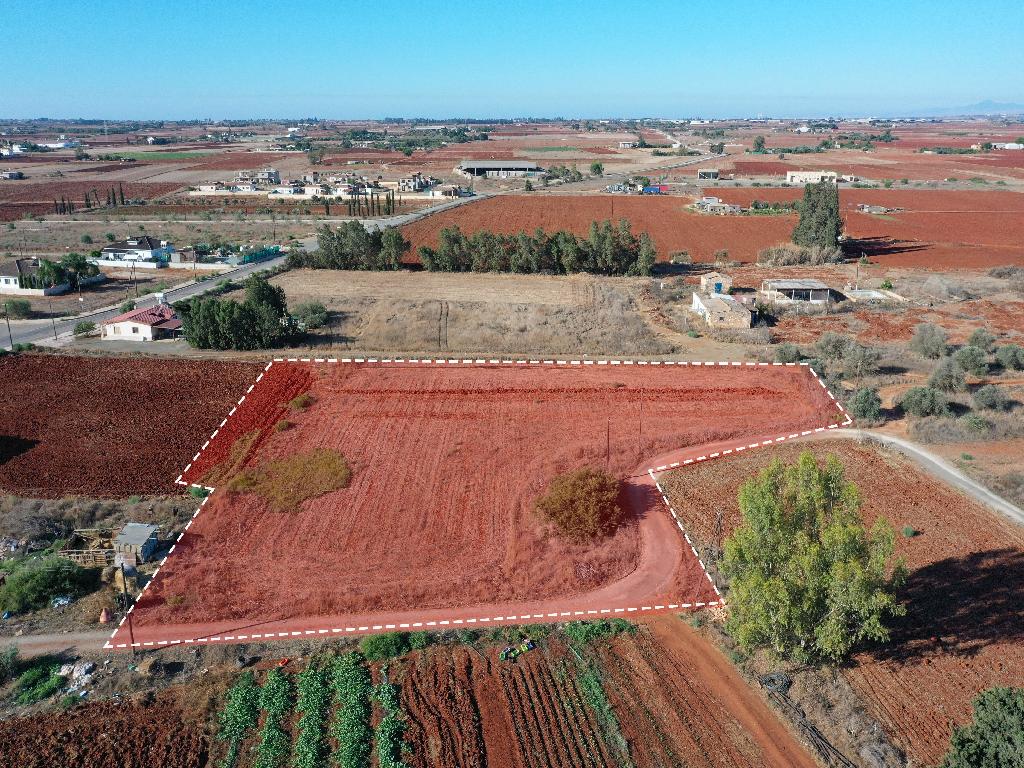 Field - Avgorou, Famagusta