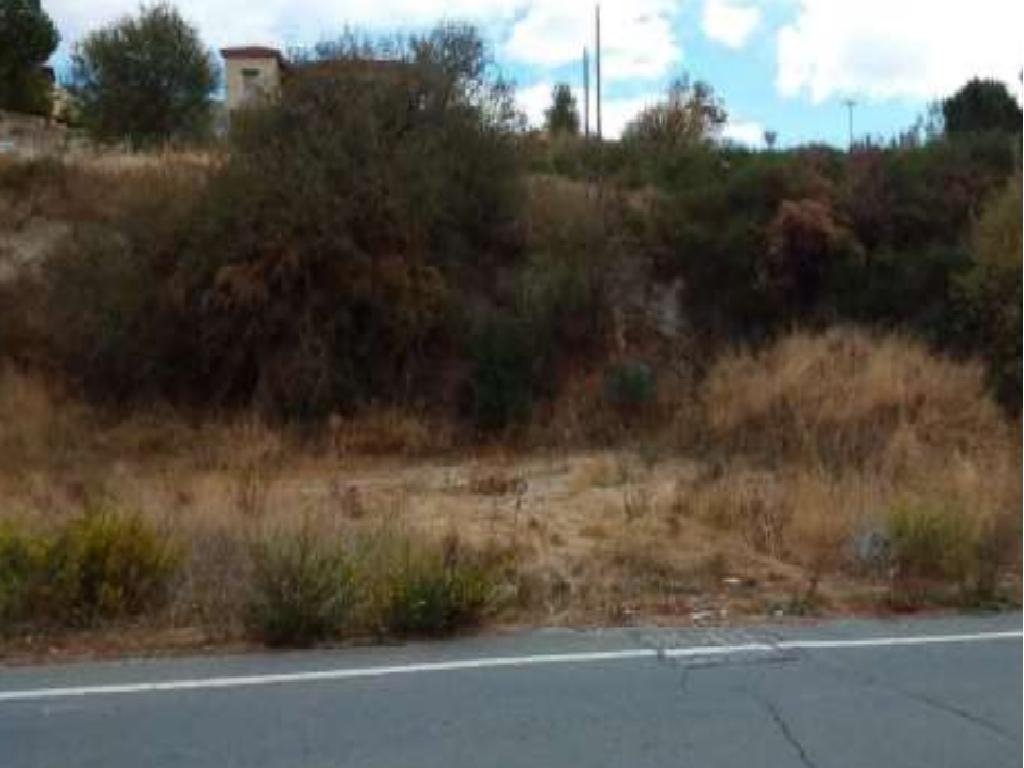 Field - Agios Amvrosios, Limassol