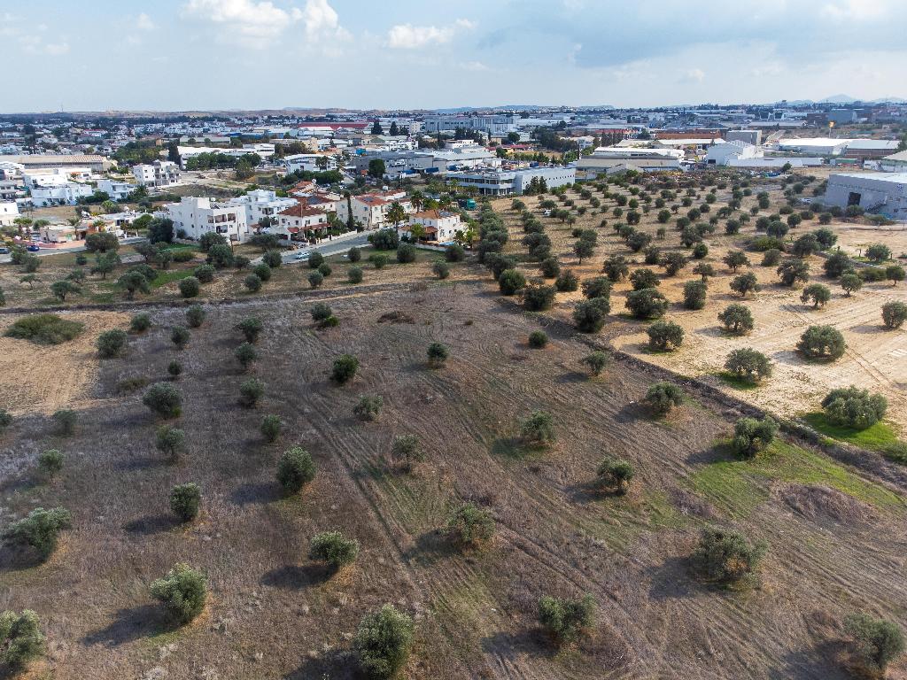 Field-Latsia-PR37669