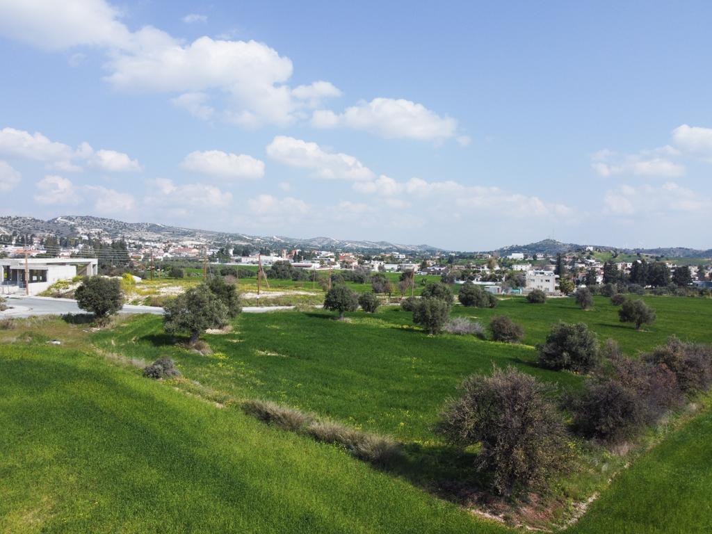 Field - Agglisides, Larnaca