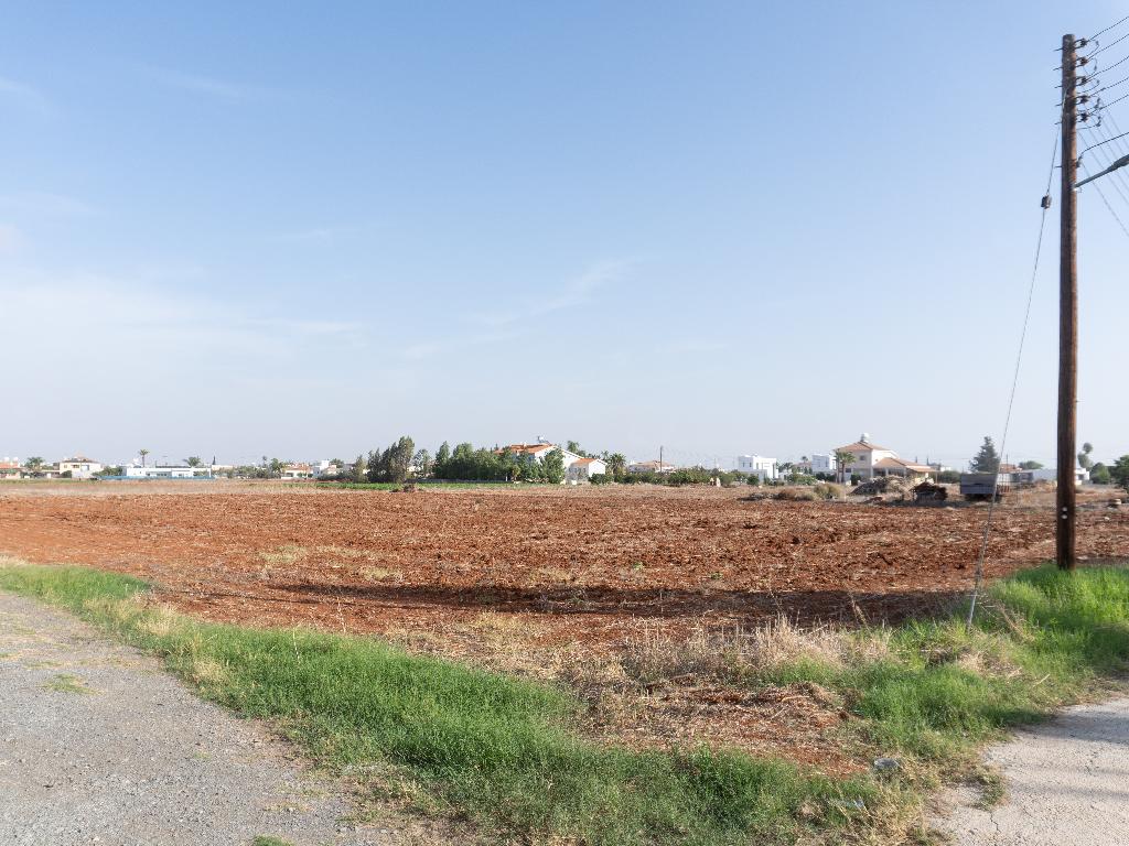 Field (Share) - Paleometocho, Nicosia