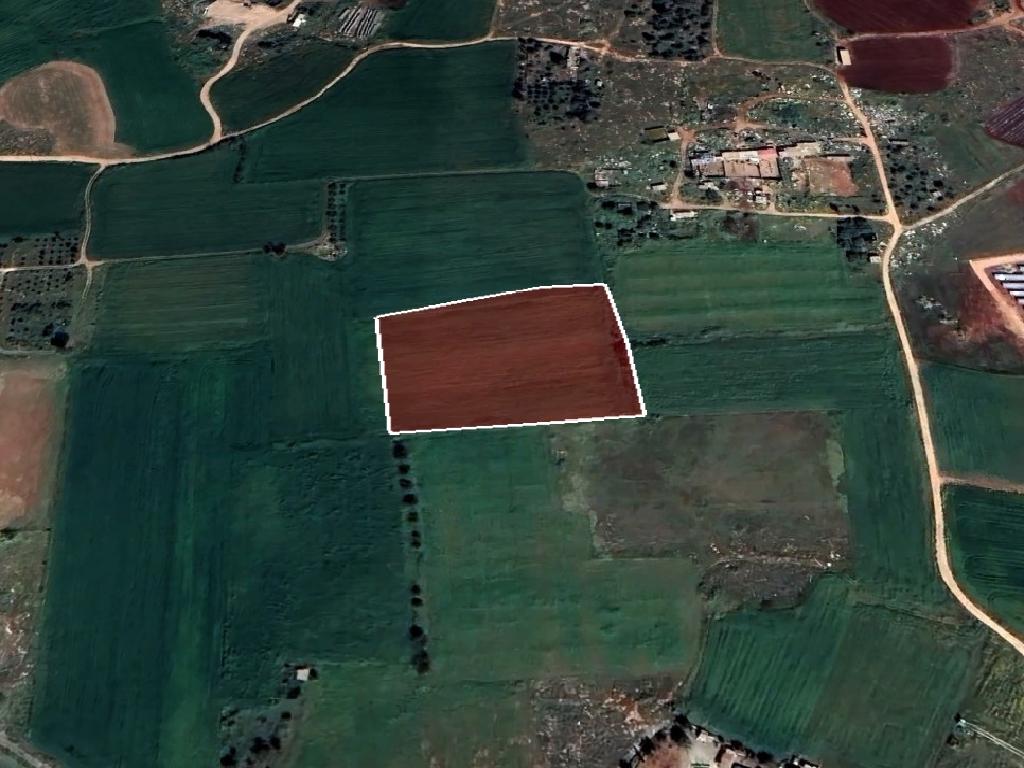 Field-Avgorou-PR37077