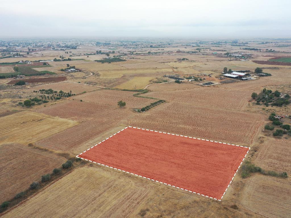 Field-Avgorou-PR37077