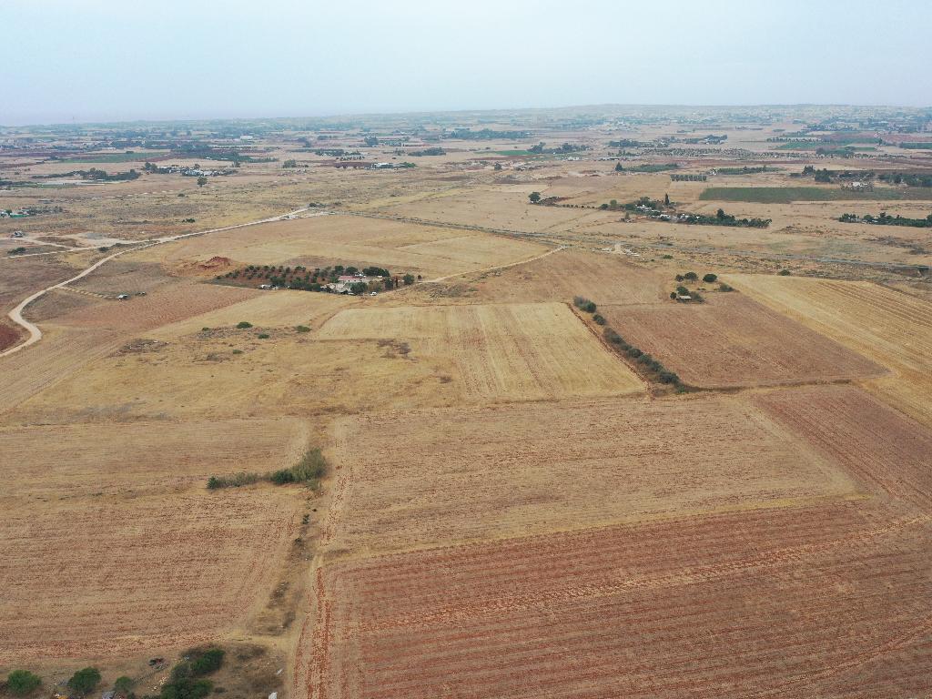 Field-Avgorou-PR37077